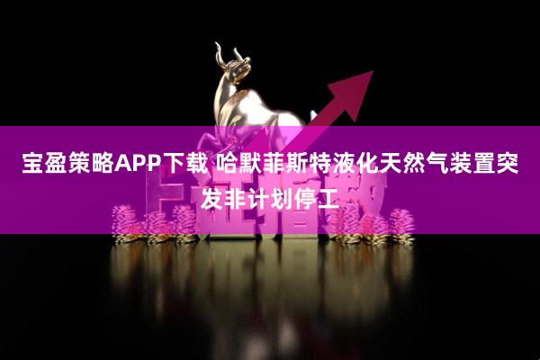 宝盈策略APP下载 哈默菲斯特液化天然气装置突发非计划停工